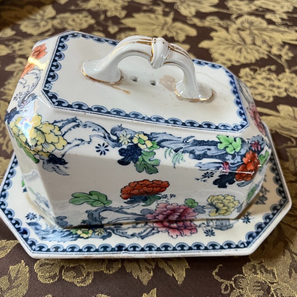 Vintage Cheese Keeper/ Server